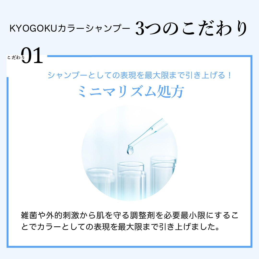 KYOGOKU パーソナルカラーシャンプー アッシュグレー ブルベ夏 200ml